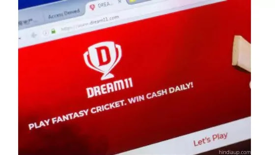 Case Study of Dream11 founders Success Story in Hindi