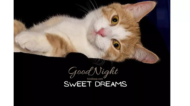 Good Night Hindi Shayari Images Sweet Dreams Message